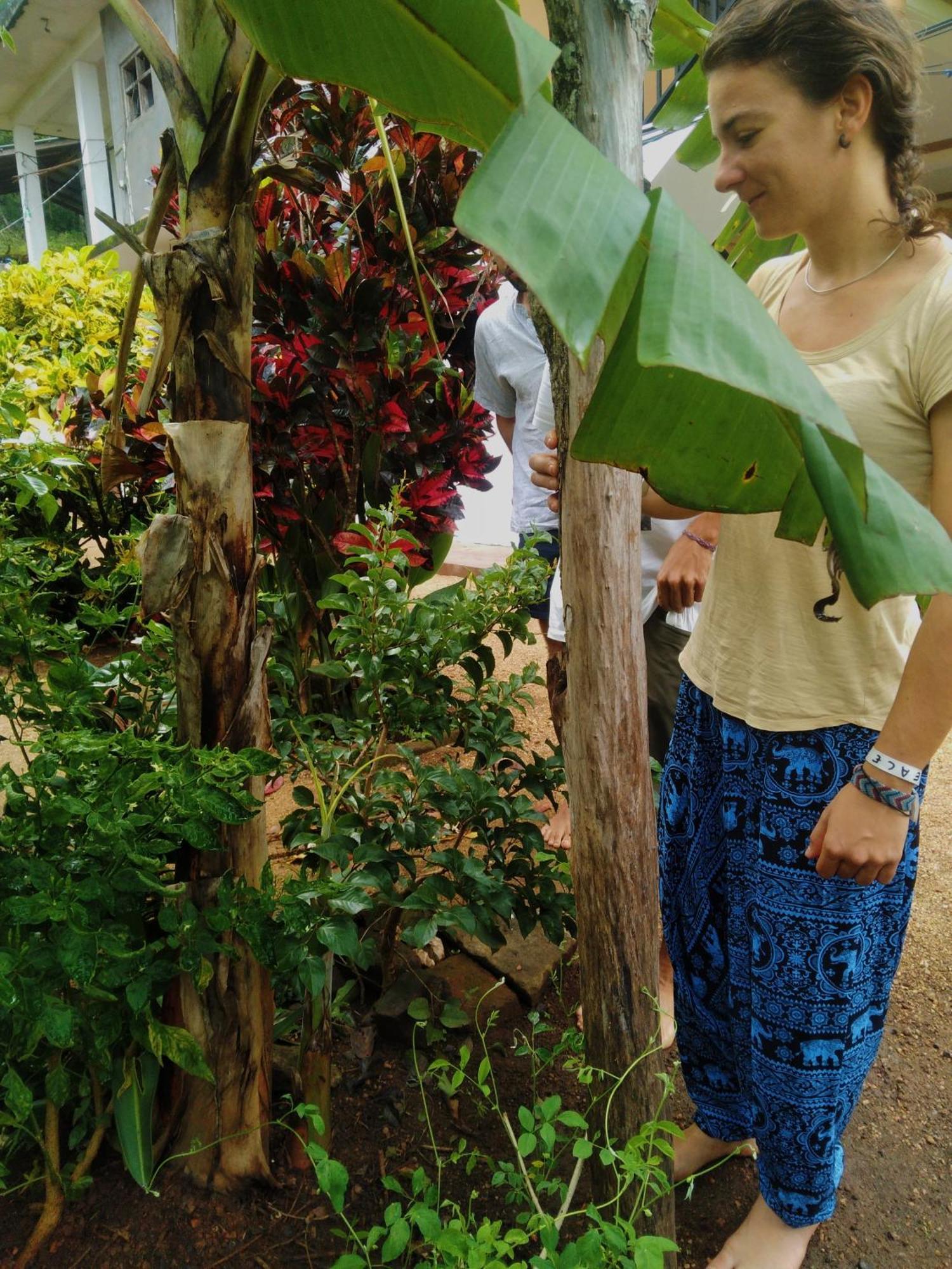 Mount View Hotel Polonnaruwa Bagian luar foto