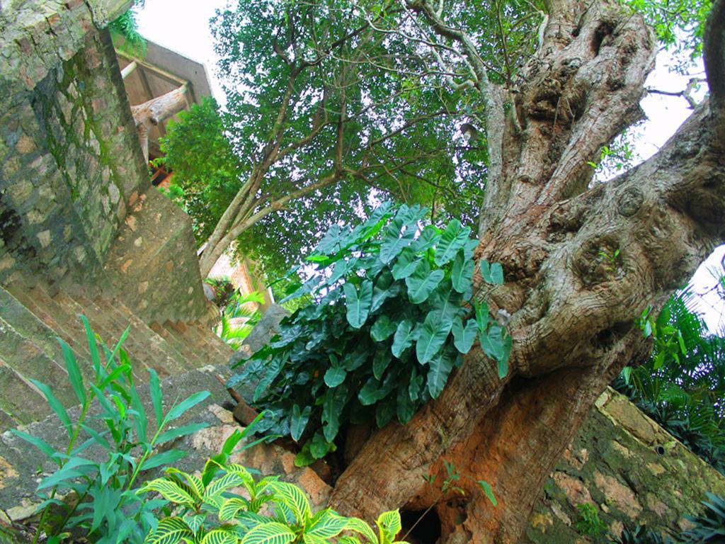 Mount View Hotel Polonnaruwa Bagian luar foto
