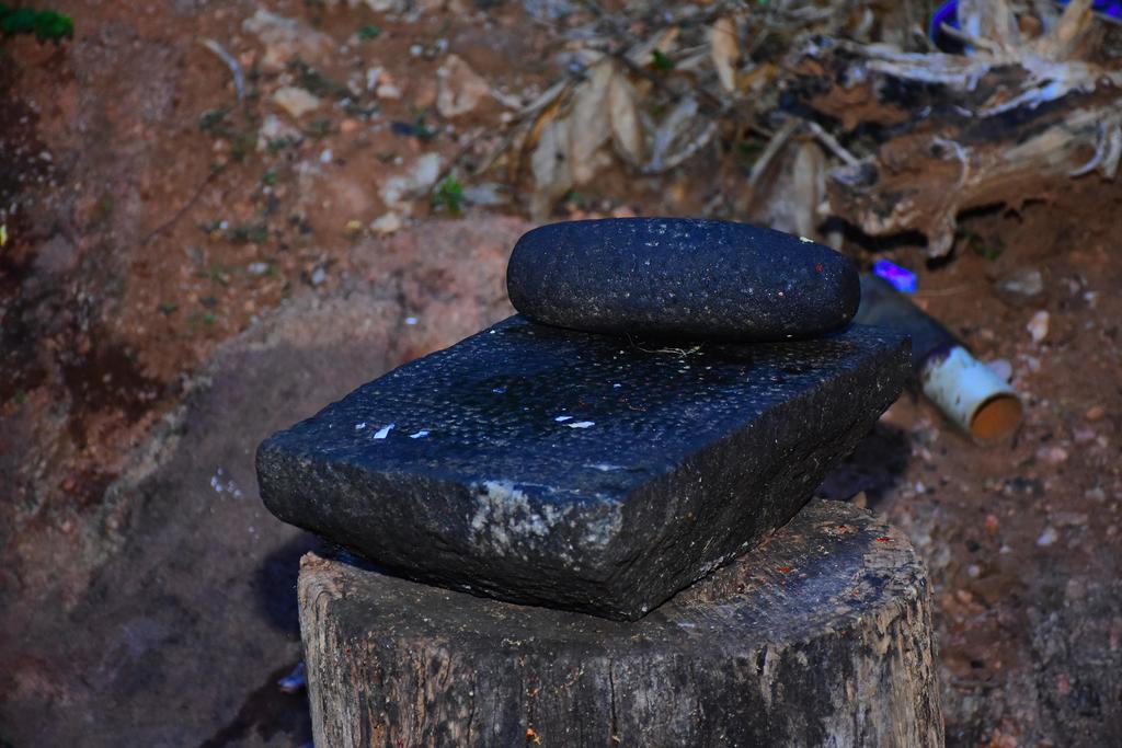 Mount View Hotel Polonnaruwa Bagian luar foto