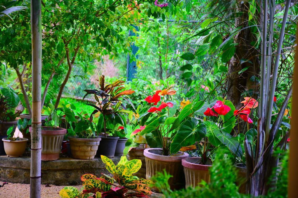 Mount View Hotel Polonnaruwa Bagian luar foto
